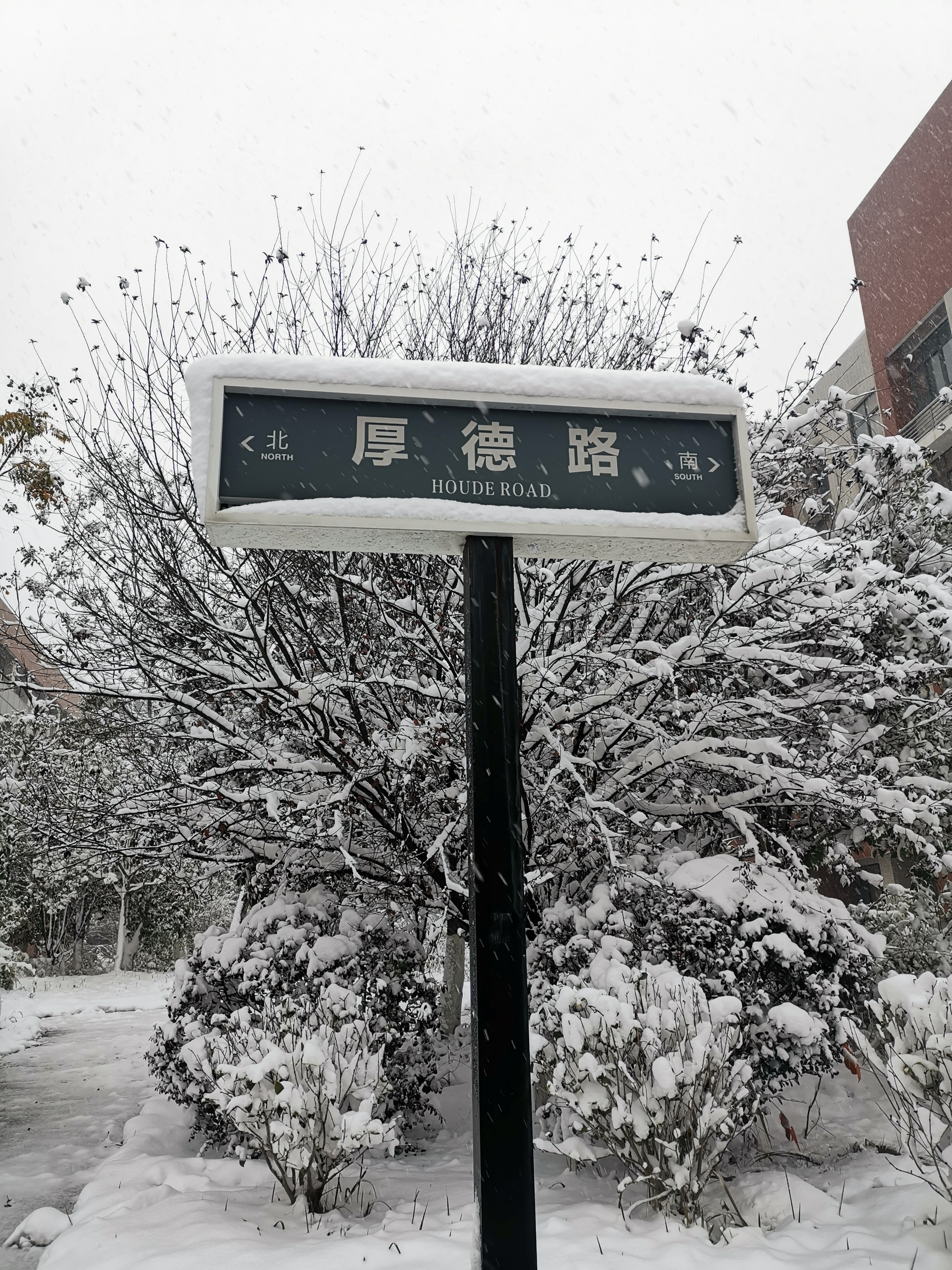 雪中印記--厚德載物.jpg